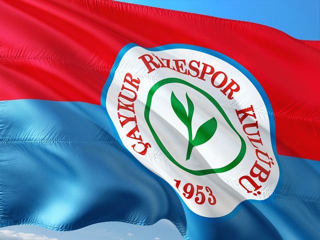 开花战略 开花战略