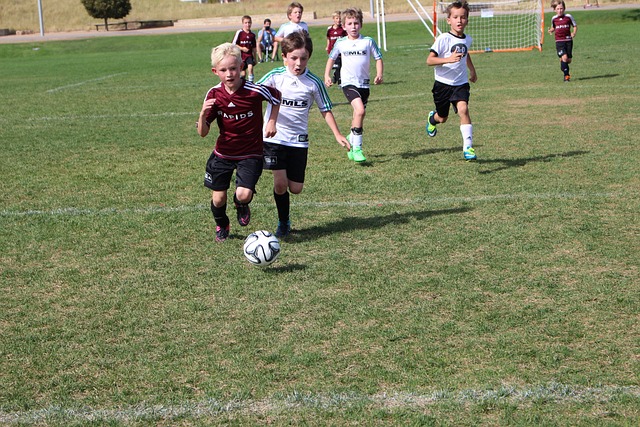 感叹这支豪 感叹这支豪