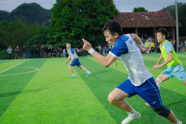 综合实力 综合实力